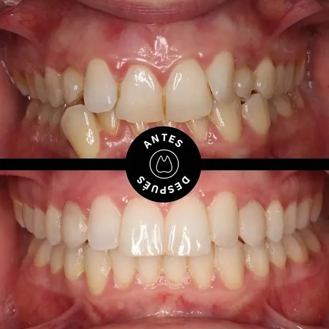 dentista
